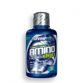 Amino Liquid Dyn (480ml) - Dynamic Lab